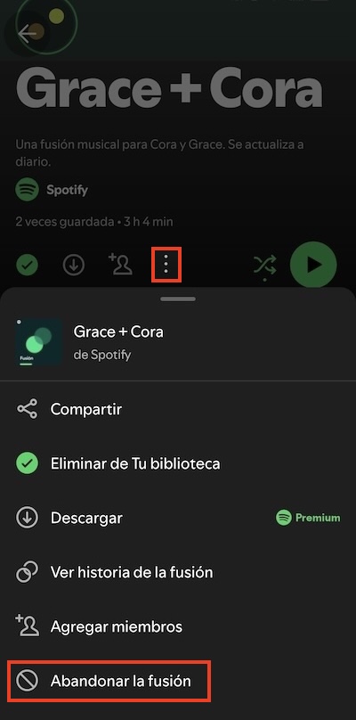 Salir de Spotify Blend