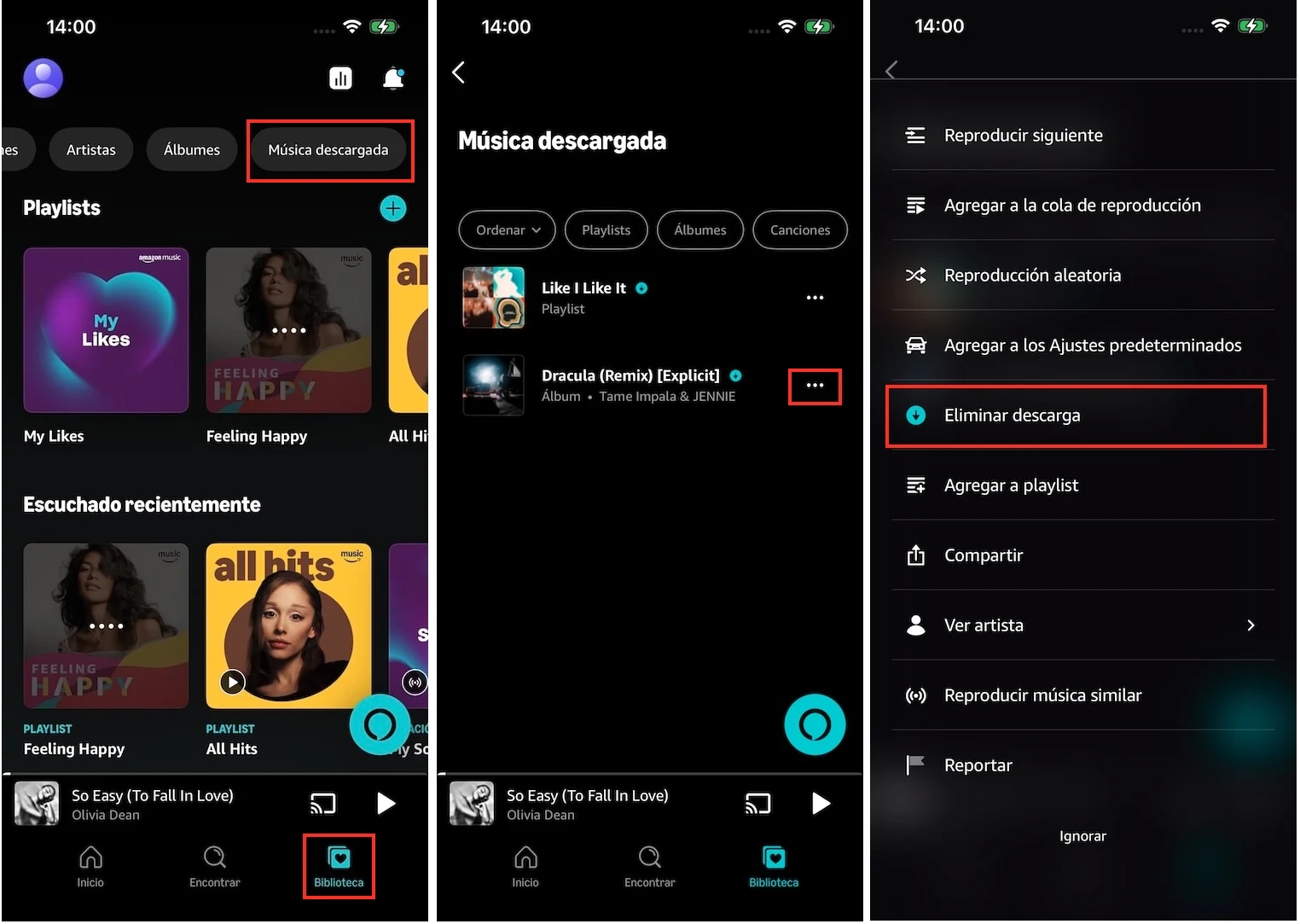 Eliminar descarga de Amazon Music