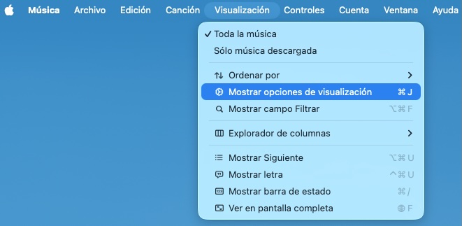 Apple Music Mostrar opciones de visualización