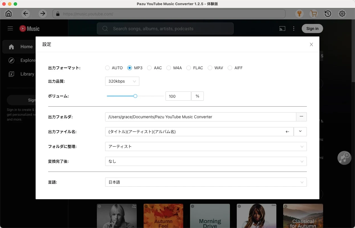 YouTube Music download settings