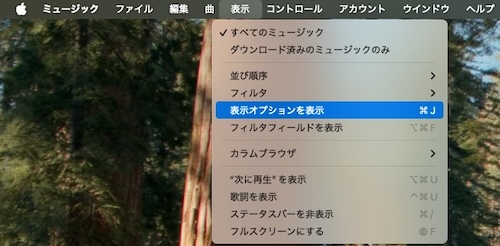 Apple Musicの表示