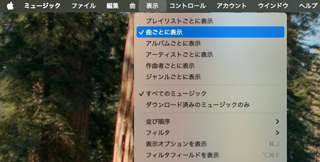 Apple Musicの表示