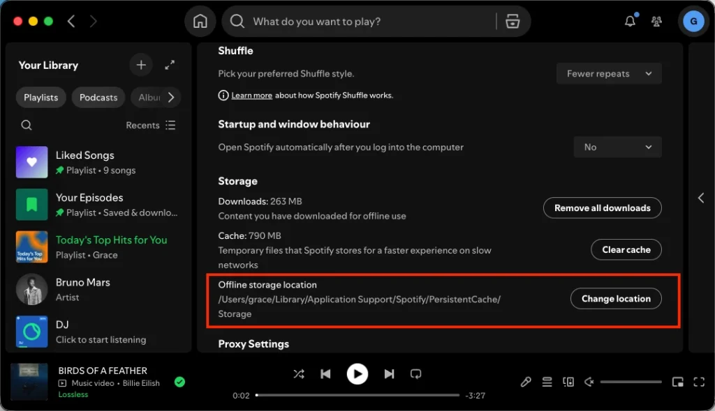 Spotify offline location
