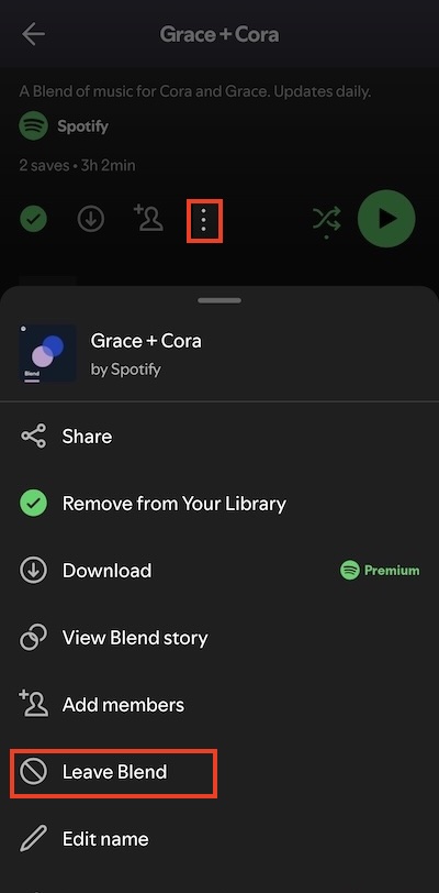 Leave Spotify Blend