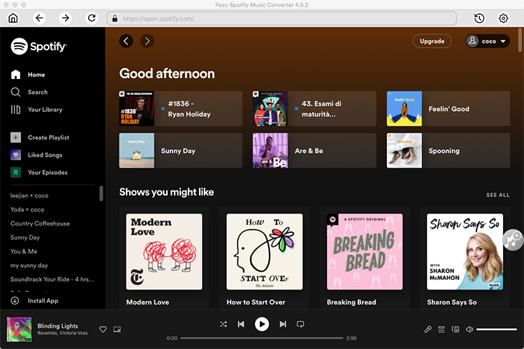 convert Spotify to MP3