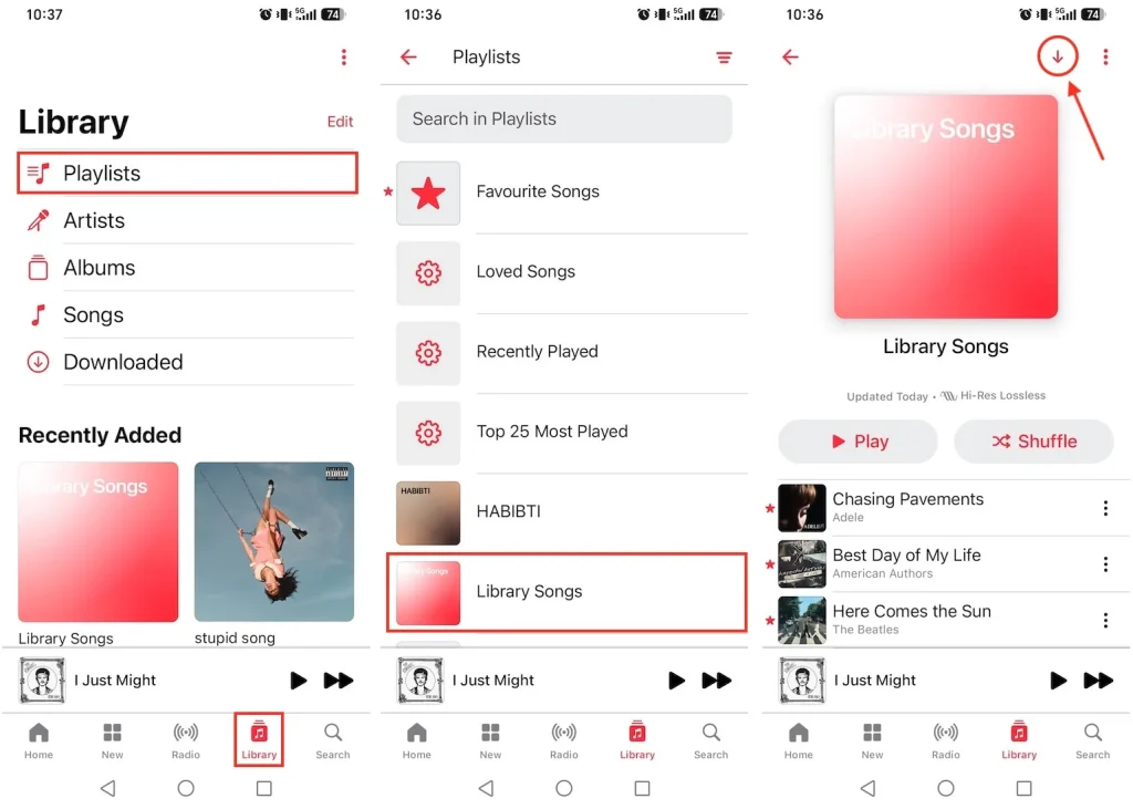 Download all songs in Apple Music playlist on mobile device