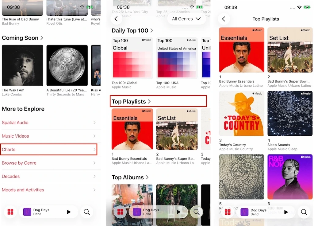Apple Music Top Playlists