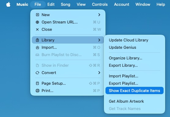 Show Exact Duplicate Items on Apple Music