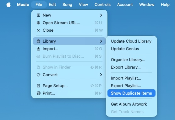Show duplicate songs in Apple Music