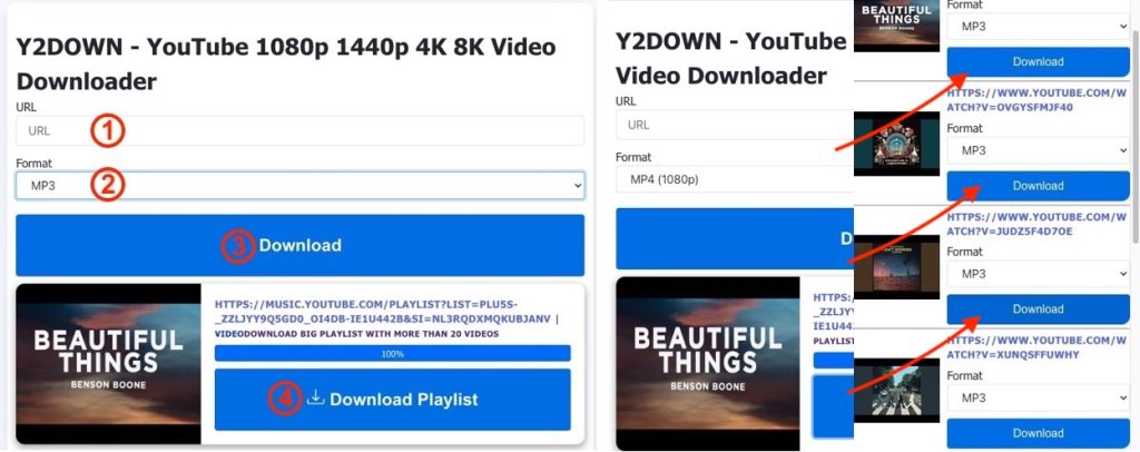 Y2Down YouTube Downloader