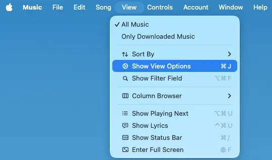 Apple Music show view options
