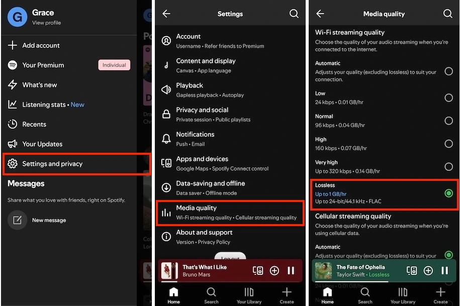 spotify lossless mobile